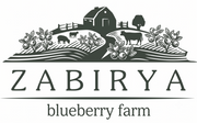 Zabirya Blueberry Farm