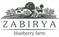 Zabirya Blueberry Farm