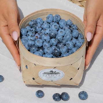 Свіжа ягода лохини Bluegold Bluegold-3KG фото
